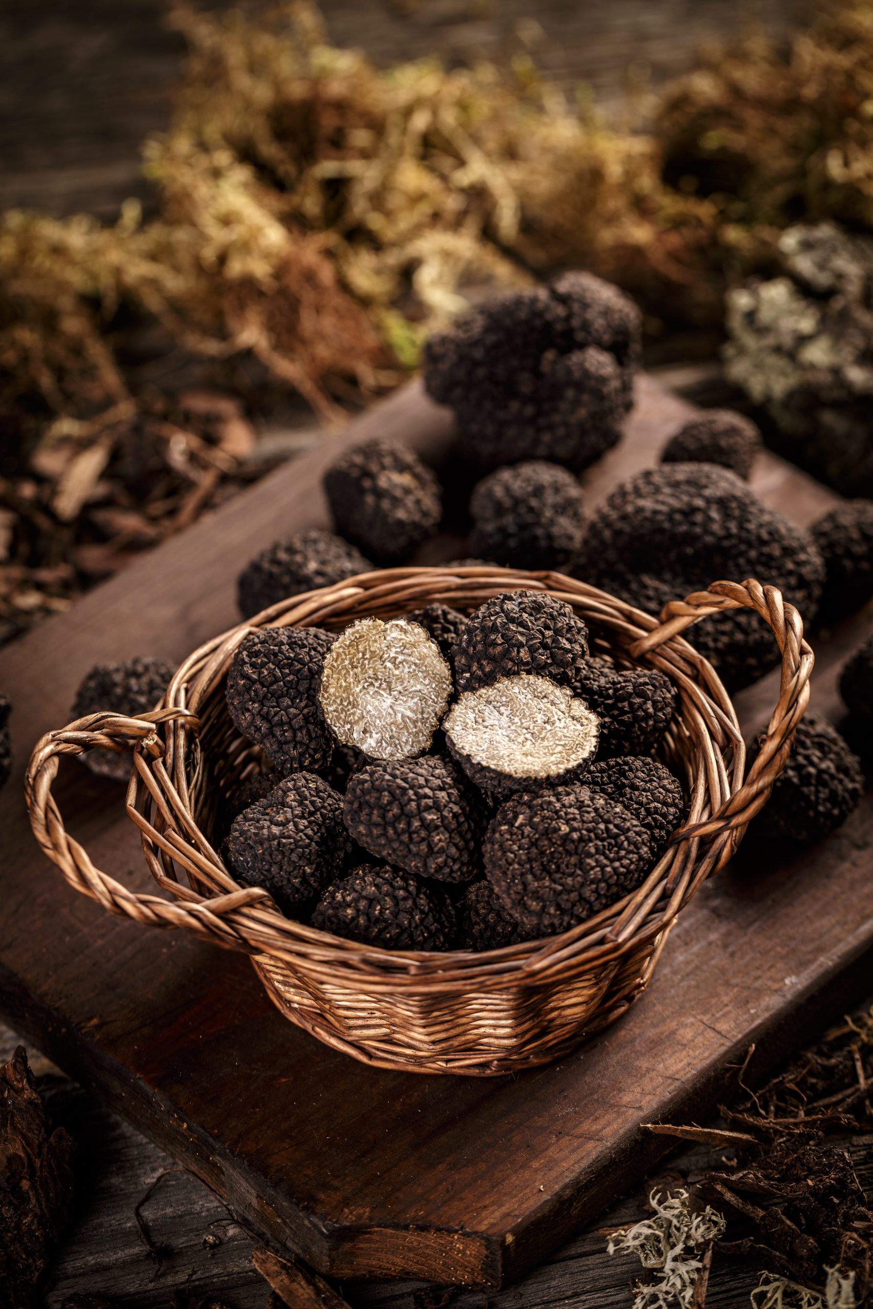 Elyonn Agro - Truffes noires d'exception